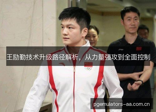 王励勤技术升级路径解析,从力量强攻到全面控制 王励勤技术升级路径解析,从力量强攻到全面控制